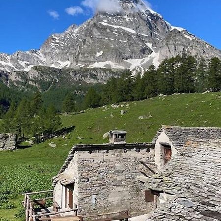 فندق فارزوفي  Voglia Di Veglia المظهر الخارجي الصورة