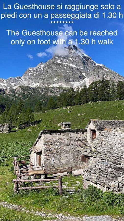 فندق فارزوفي  Voglia Di Veglia المظهر الخارجي الصورة